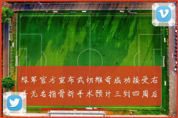 绿军官方宣布武切维奇成功接受右手无名指骨折手术预计三到四周后复查